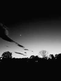 Silhouette trees against sky at night