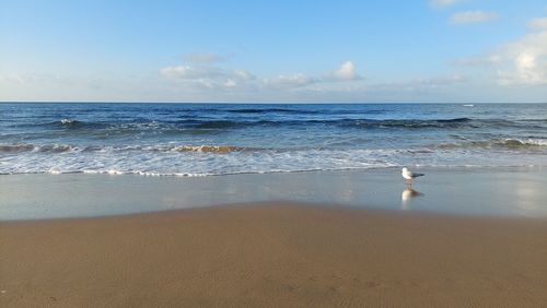 sea