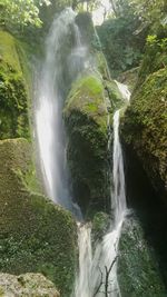 Scenic view of waterfall in forest