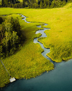 Scenic view of agricultural field