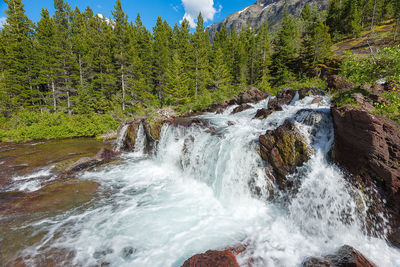 Scenic view of waterfall in forest