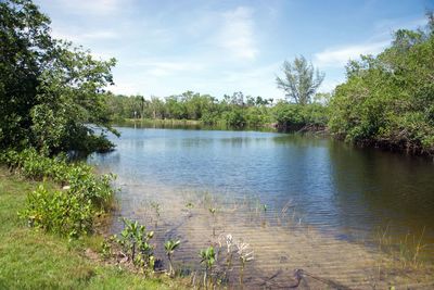 Scenic view of lake in forest against sky