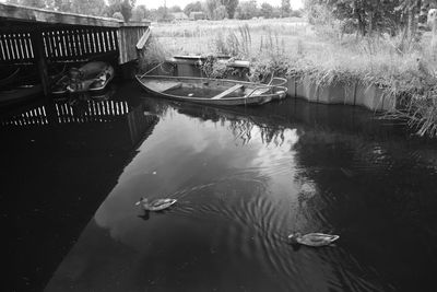 Reflection of duck in lake