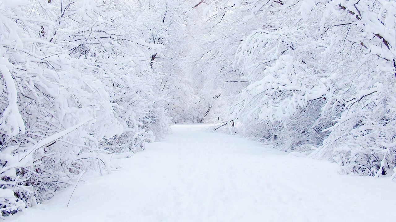 snow, winter, cold temperature, season, the way forward, weather, covering, diminishing perspective, white color, tranquility, nature, tranquil scene, landscape, road, snow covered, covered, vanishing point, frozen, beauty in nature, white