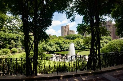 Trees in park against sky in city