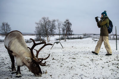 Horse standing on snow field against sky