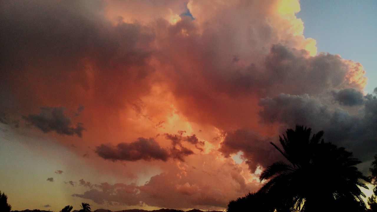 sky, sunset, cloud - sky, low angle view, silhouette, scenics, tree, beauty in nature, nature, tranquility, cloudy, tranquil scene, palm tree, weather, dusk, dramatic sky, idyllic, orange color, cloud, outdoors