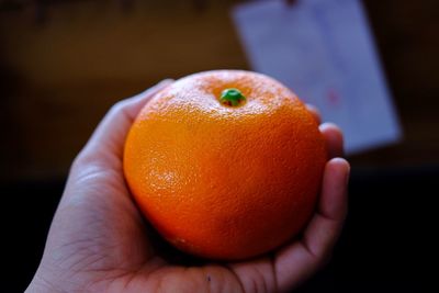 Close-up of hand holding apple