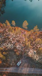 High angle view of autumn trees by sea
