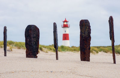 Wooden posts on beach