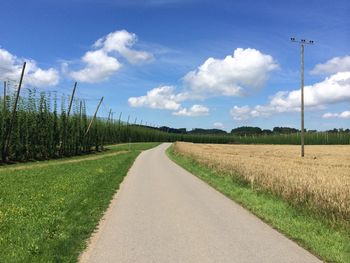 Road amidst agricultural field against sky