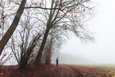 Rear view of woman walking on bare tree