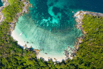 High angle view of sea and trees