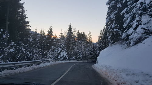 Snow covered road amidst trees against sky