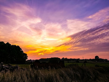 Scenic view of silhouette field against sky during sunset