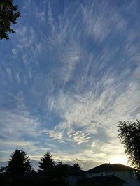 Low angle view of silhouette trees against sky