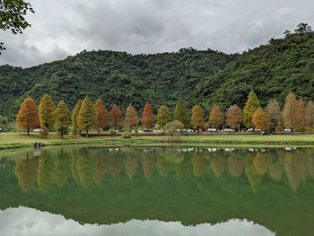 Larch about to turn red against their beautiful reflections in the lake.