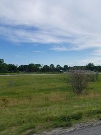 Scenic view of field against sky