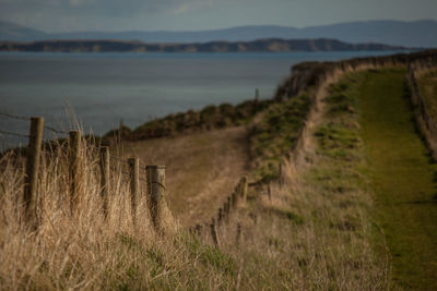 Scenic view of field by sea against sky