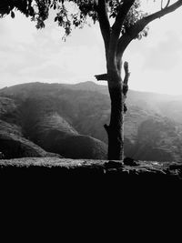 Scenic view of tree mountains against sky