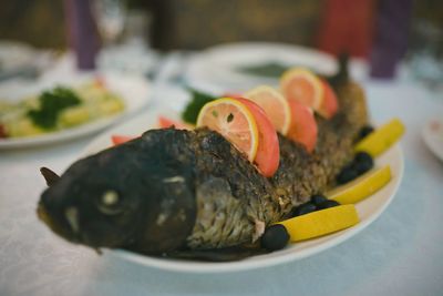 Close-up of food in plate