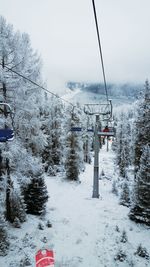 Scenic view of snow covered mountain