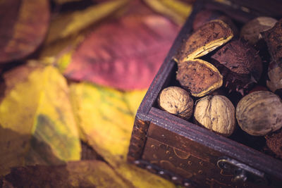 Close-up of walnuts in box by autumn leaves