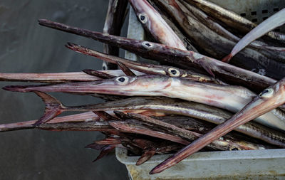 Close-up of fish for sale