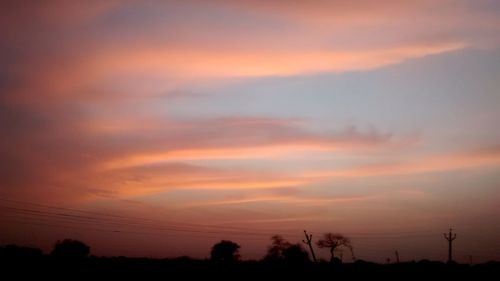 Silhouette of trees at sunset