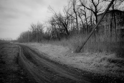 Bare trees on landscape against sky