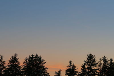 Low angle view of silhouette trees against sky during sunset