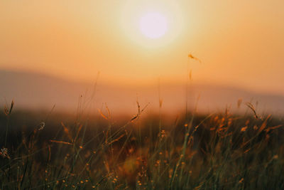 Scenic view of field against orange sky