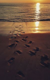 Surface level of frozen sea shore during sunset