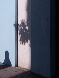 Shadow of person on wall