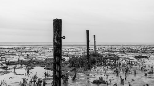 Panoramic view of wooden posts on beach against sky