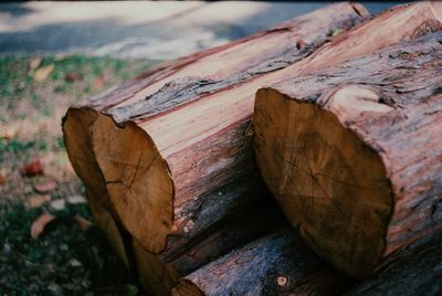 Close-up of wooden logs