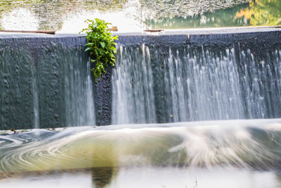 Close-up of fountain against trees