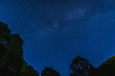 Low angle view of trees against sky at night