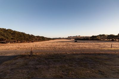 Scenic view of field against clear sky