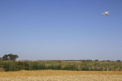 Low angle view of airplane flying over field against clear sky