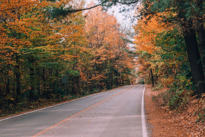 Road amidst trees during autumn