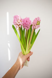 Close-up of hand holding flower against white background