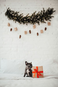 High angle view of christmas decorations on bed