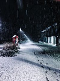 Road amidst trees during winter at night