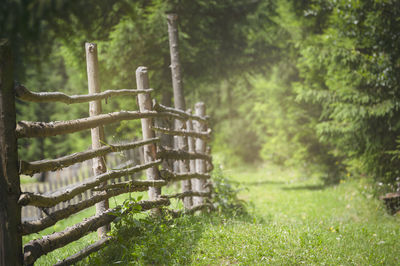 Fence on field