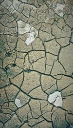 Full frame shot of cracked land