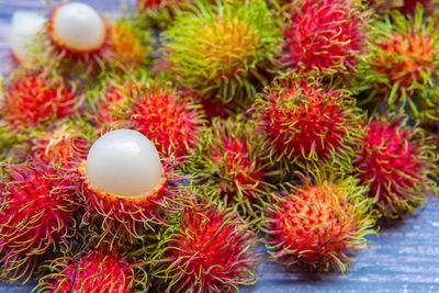 High angle view of fruits on plant