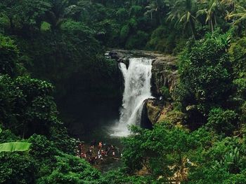 Scenic view of waterfall