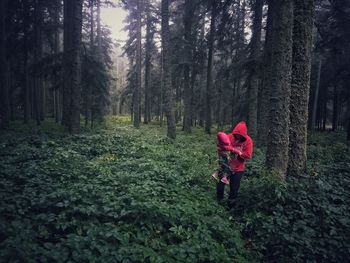 Rear view of man walking in forest