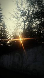 Silhouette trees against sky during sunset